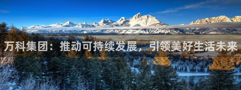 香港和记隆官网：万科集团：推动可持续发展，引领美好生活未来