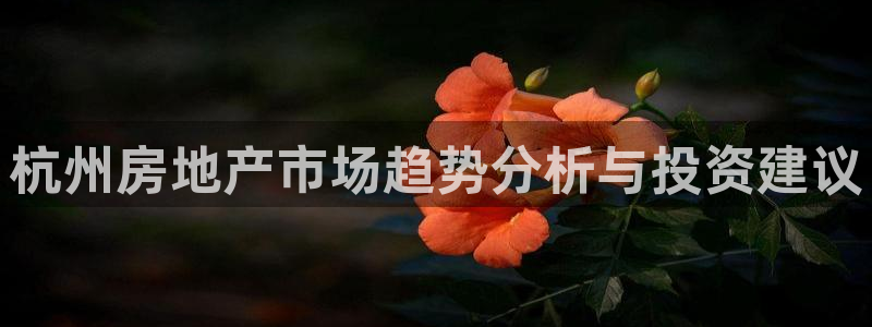 和元李记官网：杭州房地产市场趋势分析与投资建议