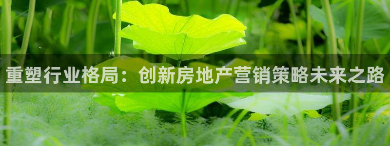 和记怡情博娱中国官网：重塑行业格局：创新房地产营销策略未来之