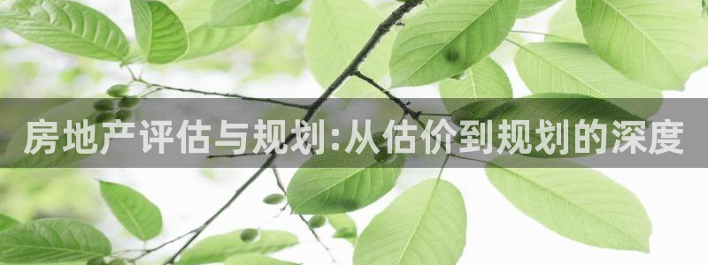 和记电讯three官网：房地产评估与规划:从估价到规划的深度