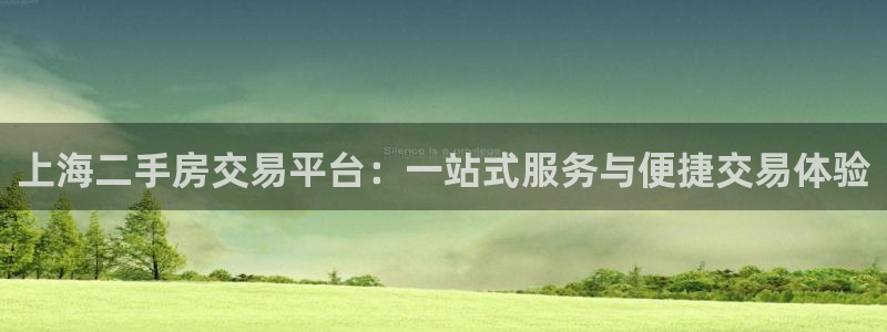 和记黄埔药业官网：上海二手房交易平台：一站式服务与便捷交易体