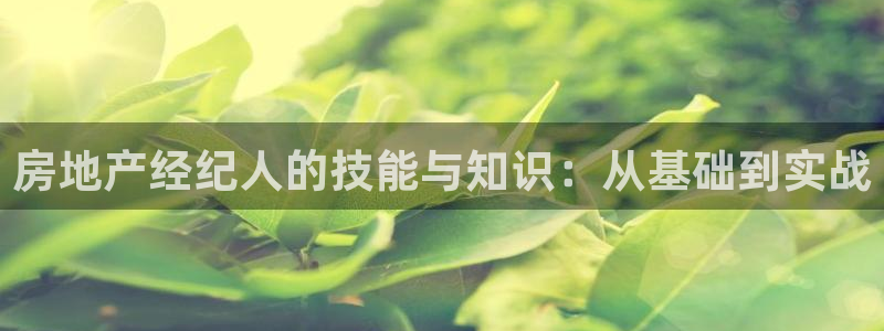 缅甸和记官网：房地产经纪人的技能与知识：从基础到实战