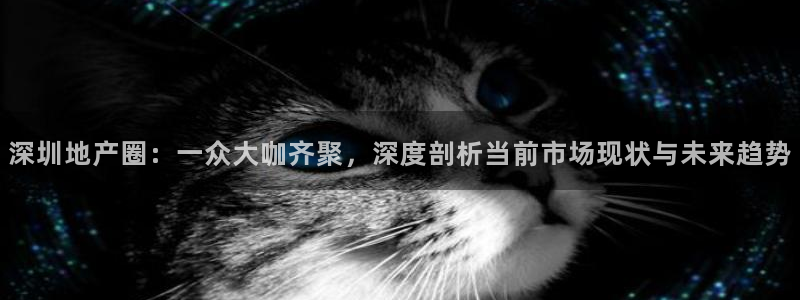 上海和记官网：深圳地产圈：一众大咖齐聚，深度剖析当前市场现状