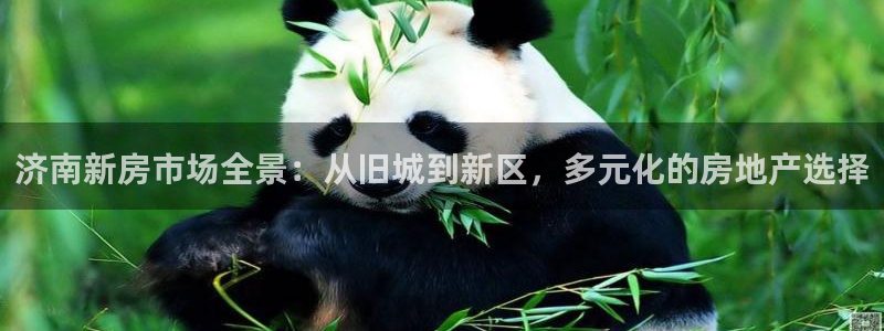 和记娱乐手机官网：济南新房市场全景：从旧城到新区，多元化的房