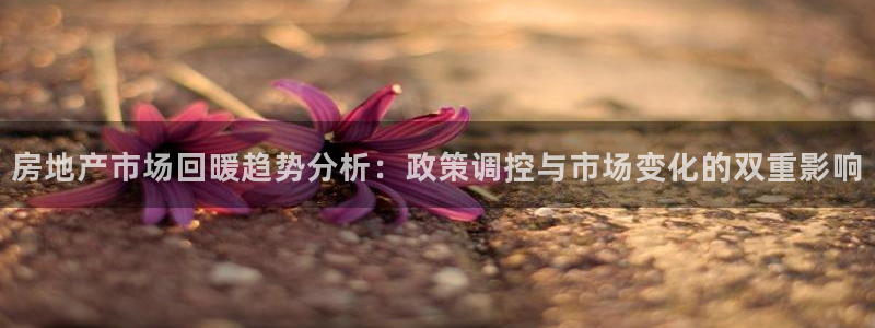 香港和记隆官网：房地产市场回暖趋势分析：政策调控与市场变化的