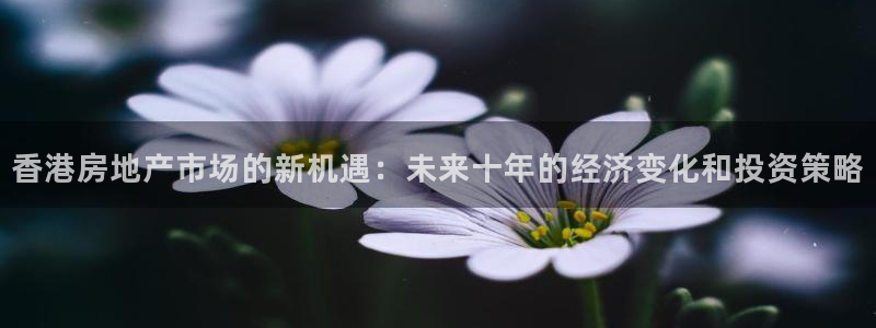 和记怡情视频官网：香港房地产市场的新机遇：未来十年的经济变化