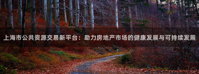 澳门和记平台官网：上海市公共资源交易新平台：助力房地产市场的