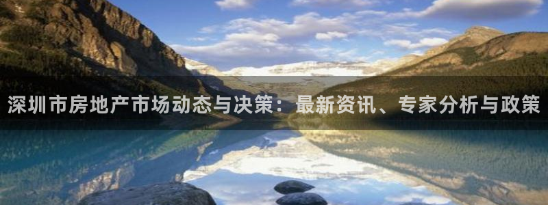 长江和记集团官网：深圳市房地产市场动态与决策：最新资讯、专家