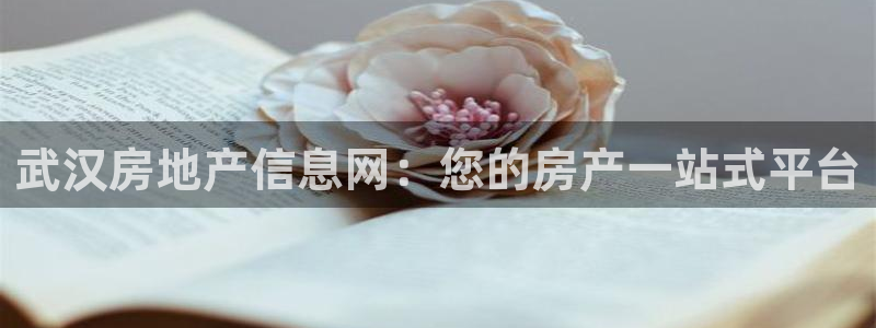 成都和记公司官网：武汉房地产信息网：您的房产一站式平台