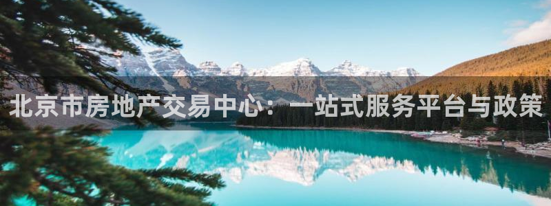和记电信官网：北京市房地产交易中心：一站式服务平台与政策
