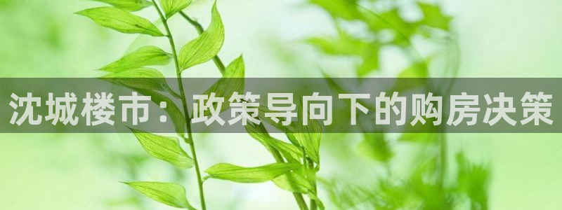 和木记官网：沈城楼市：政策导向下的购房决策