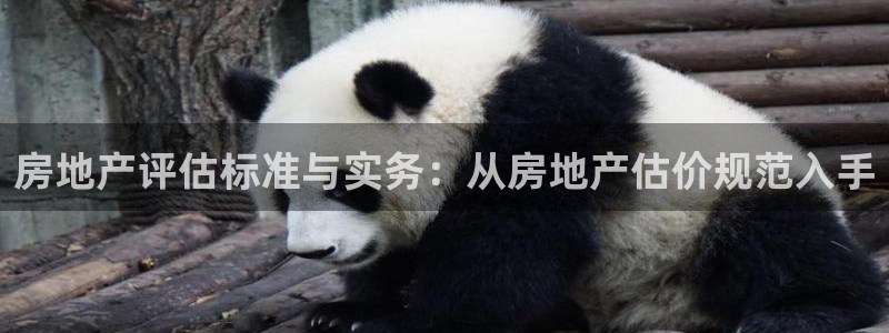 和记黄埔 成都 官网：房地产评估标准与实务：从房地产估价规范