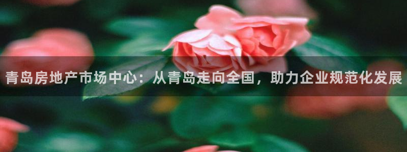 和记怡情h88官网中文版：青岛房地产市场中心：从青岛走向全国