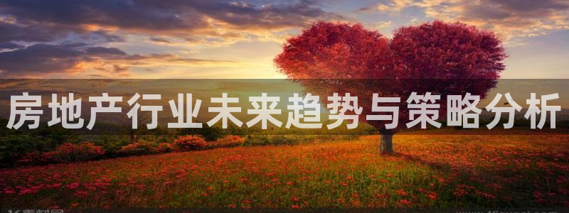 和记网址官网：房地产行业未来趋势与策略分析