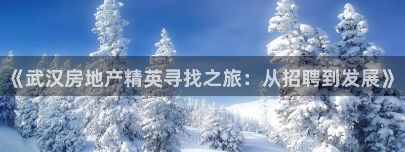 小金库钱包app下载官网和记：《武汉房地产精英寻找之旅：从招