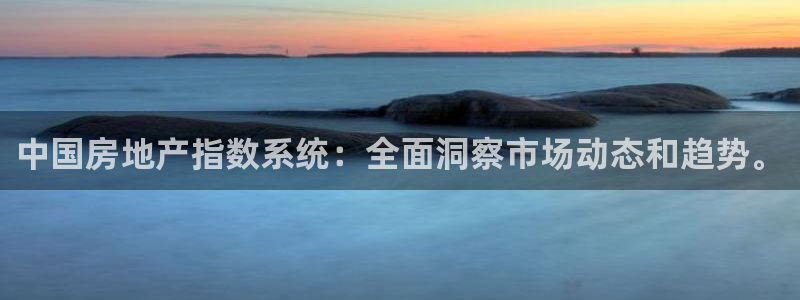 3g和记官网：中国房地产指数系统：全面洞察市场动态和趋势。