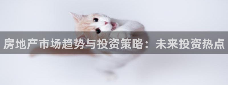 和记唯一官网：房地产市场趋势与投资策略：未来投资热点