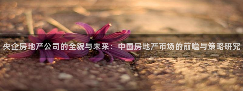 和记h88官网：央企房地产公司的全貌与未来：中国房地产市场的