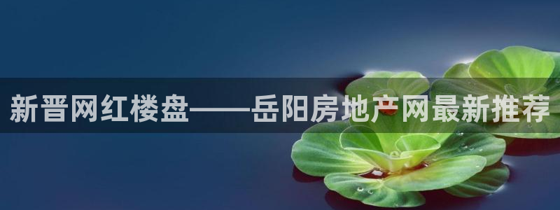 澳门和记平台官网：新晋网红楼盘——岳阳房地产网最新推荐