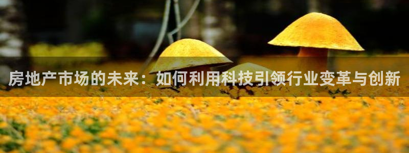 3和记电讯官网：房地产市场的未来：如何利用科技引领行业变革与