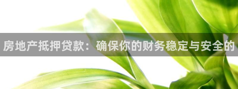 和记娱真好h88285官网：房地产抵押贷款：确保你的财务稳定