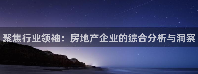 和记3卡官网是哪：聚焦行业领袖：房地产企业的综合分析与洞察