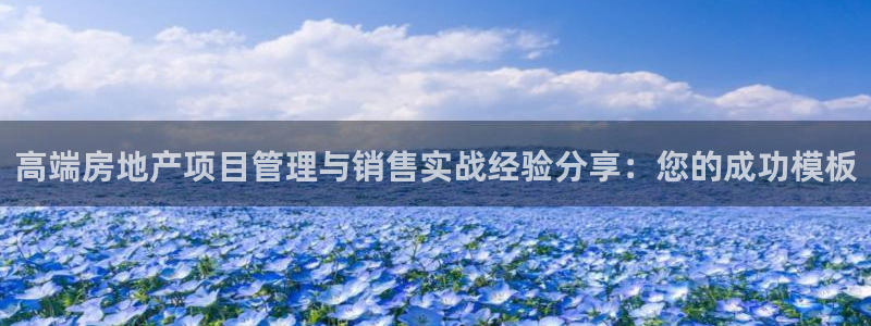 和记电讯官网：高端房地产项目管理与销售实战经验分享：您的成功