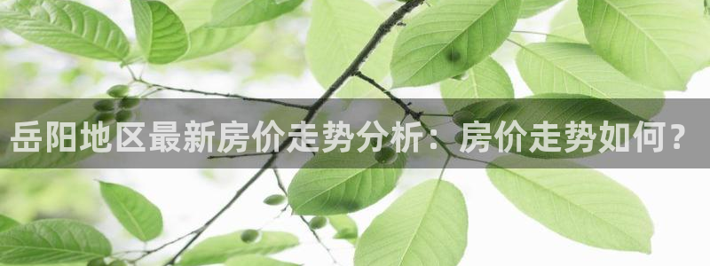 和记官网开户 银博网：岳阳地区最新房价走势分析：房价走势如何