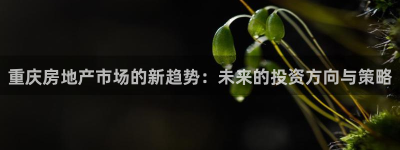 和记国际官网官网：重庆房地产市场的新趋势：未来的投资方向与策