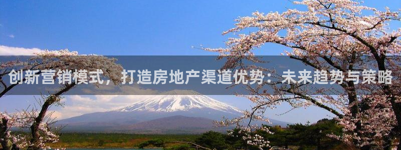 下载和记官网：创新营销模式，打造房地产渠道优势：未来趋势与策