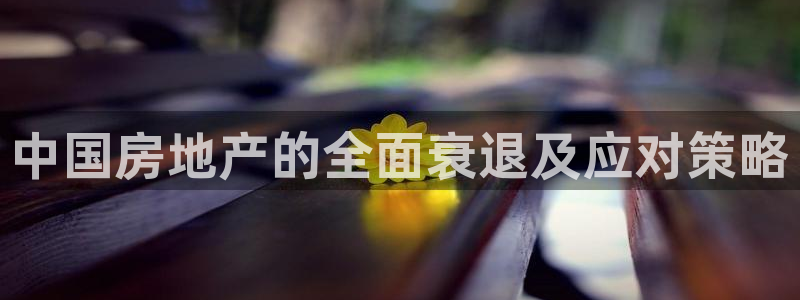 和记官网app：中国房地产的全面衰退及应对策略