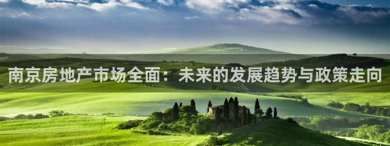 和记备用官网：南京房地产市场全面：未来的发展趋势与政策走向