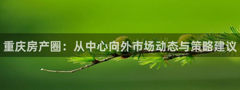 和记黄埔集团官网：重庆房产圈：从中心向外市场动态与策略建议