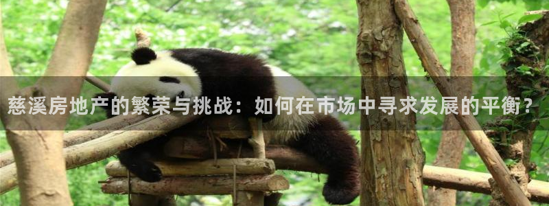 和记洋行官网：慈溪房地产的繁荣与挑战：如何在市场中寻求发展的